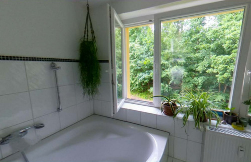 Foto - Etagenwohnung in Kranichfeld zur Miete