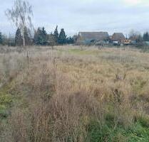 Schrebergartenfläche zur Pacht - vielfältige Verwendung möglich - Südliches Anhalt