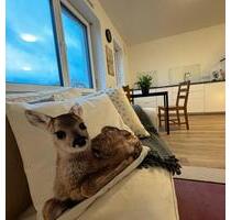 Komfortable Ferienwohnung bei Montabaur - Nentershausen