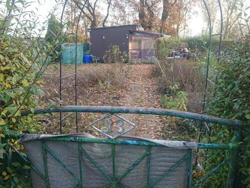 Foto - Grundst&uuml;ck zur Miete in Greifswald