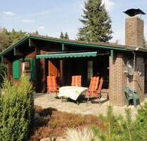 Ferienhaus , Urlaub Lüneburger Heide, mit Hund, frei 16.-23.08.26 - Neuenkirchen