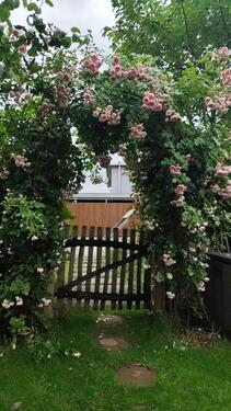 Foto - 4 Zimmer Terrassenwohnung zum Kaufen in Freiburg im Breisgau