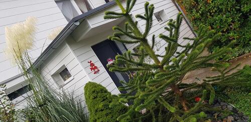 Foto - Haus , Reihenhaus . von Privat ohne Makler