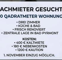80 qm 3ZKBB zentrale Lage Bad Pyrmont ohne Einbauküche