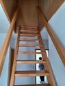 Foto - 3 Zimmer Doppelhaushälfte in Jade