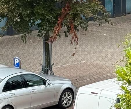 Foto - KFZ Stellplatz Tübinger Straße - 40,00 EUR Miete,