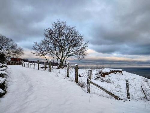 Foto - Ferienwohnungen, Bungalow,Ostsee,mit Kind und Hund