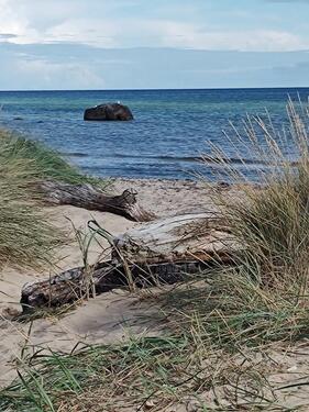 Foto - andere zur Miete in Sellin