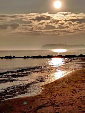 Foto - andere in Sellin