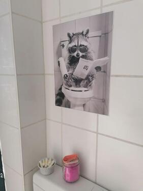 Foto - andere in Kiel zur Miete