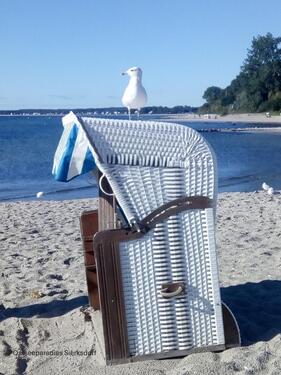 Foto - Ferienwohnung SierksdorfOstsee Strand Hansapark bis 4 Pers