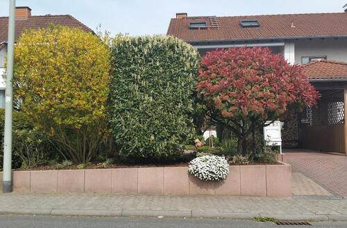 Foto - Modernes Reihenendhaus in Hofheim am Taunus – provisionsfrei