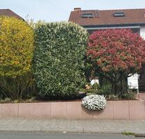 Modernes Reihenendhaus in Hofheim am Taunus – provisionsfrei