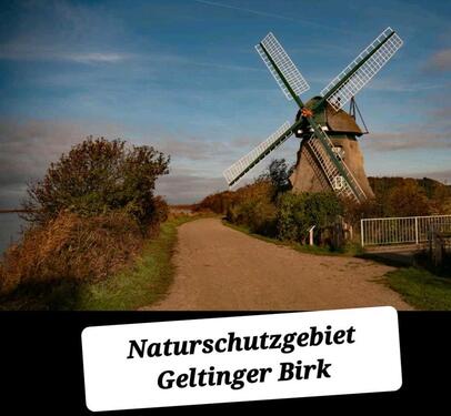 Foto - andere in Kappeln