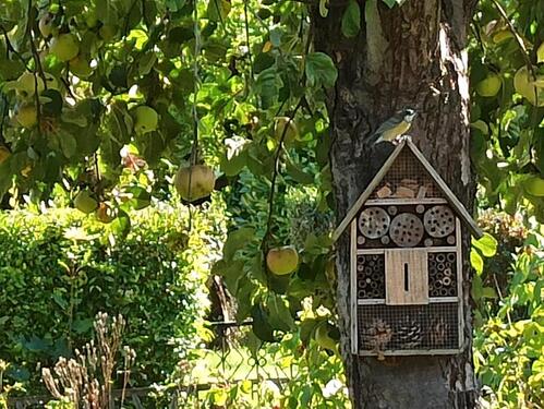 Foto - Grundstück zur Miete in Dessau-Roßlau