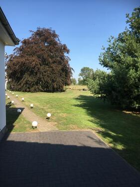 Foto - Einfamilienhaus in Oebisfelde-Weferlingen zum Kaufen