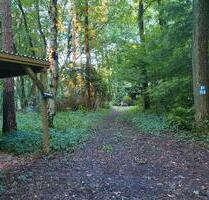 Waldhütte auf 3000qm Waldgrundstück - Seevetal