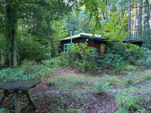 Foto - 2 Zimmer Einfamilienhaus zum Kaufen in Seevetal