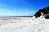 Foto - andere zur Miete in Fehmarn