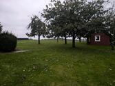 Foto - 