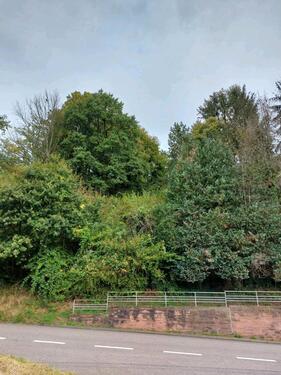 Foto - Grundstück, Gartengrundstück - 1.000,00&nbsp;EUR Kaltmiete, ca.&nbsp; 0,00&nbsp;m&sup2;