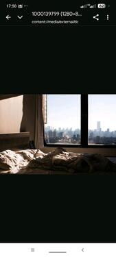 Foto - Wohnung zu vermieten - 800,00 EUR Kaltmiete,