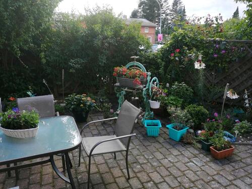 Foto - 3 Zimmer Erdgeschoßwohnung zur Miete in Ascheberg (Holstein)