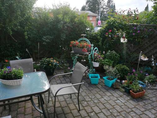 Foto - Erdgeschoßwohnung in Ascheberg (Holstein) zur Miete