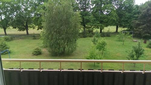 Foto - ruhig und sonnig - 370,00&nbsp;EUR Kaltmiete, ca.&nbsp; 57,00&nbsp;m&sup2;