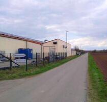 Teilfläche einer Halle, ca. 500 qm - Groß-Gerau