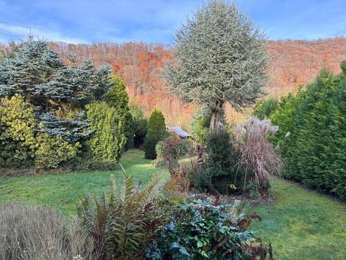 Foto - 3 Zimmer Einfamilienhaus in Bad Karlshafen