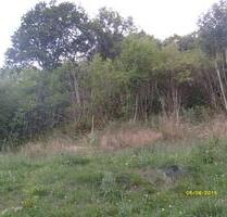 Waldgrundstücke 2 st - 4,00 EUR Kaltmiete, ca.  0,00 m² in Bad Bibra (PLZ: 06647)