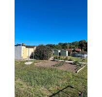 Garten zu verpachten - 50,00 EUR Kaltmiete, ca.  0,00 m² in Egeln (PLZ: 39435)