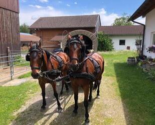 Wohnung auf dem Bauernhof, Ferienwohnung - Durach