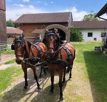 Wohnung auf dem Bauernhof, Ferienwohnung - Durach