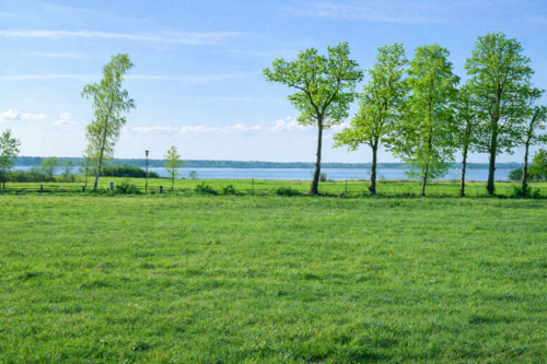 Foto - andere zur Miete in Barth