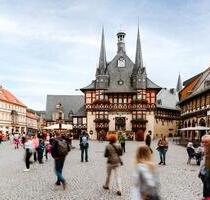 Idyllisches großes GS mit großem mod. Haus für 1 oder 2 Familien - Wernigerode
