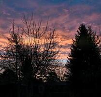 Wohnung bei Hilfe anzubieten (ELW 575€ warm) - Neustadt in Holstein