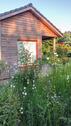 Foto - Natur Pur ! Kleines Holzhaus - 109.000,00 EUR Kaufpreis,