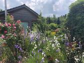 Foto - Einfamilienhaus in Syke zum Kaufen