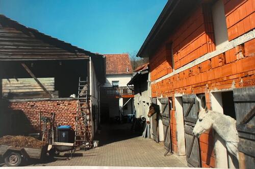 Foto - 