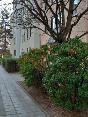 Foto - 2 Zimmer Etagenwohnung zum Kaufen in Nürnberg