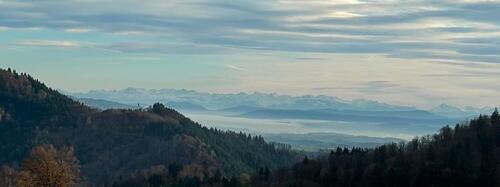 Foto - 5 Zimmer Terrassenwohnung zur Miete in Zell im Wiesental