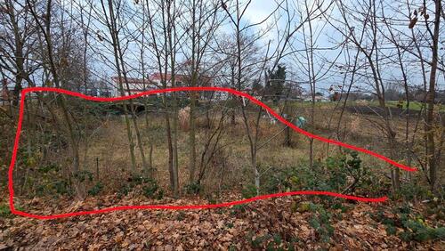 Foto - Grundst&uuml;ck zur Miete in Walldorf