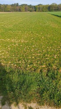 Foto - Ackerland in Wegberg - 8,00&nbsp;EUR Kaltmiete, ca.&nbsp; 0,00&nbsp;m&sup2;