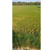 Ackerland in Wegberg - 8,00&nbsp;EUR Kaltmiete, ca.&nbsp; 0,00&nbsp;m&sup2; in Wegberg (PLZ: 41844)