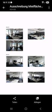 Foto - andere in Dresden