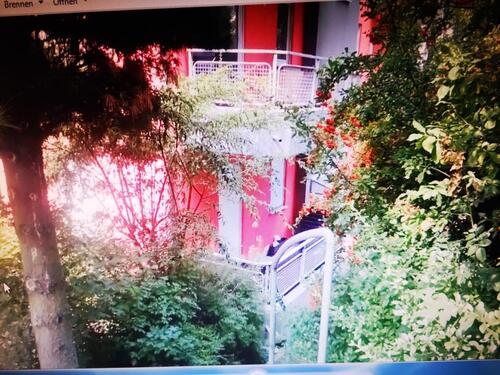 Foto - 2.5 Zimmer Erdgeschoßwohnung zur Miete in Trier