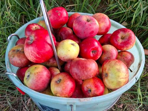 Foto - Grundstück in Filderstadt