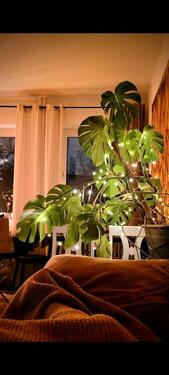 Foto - 2 Zimmer Etagenwohnung zur Miete in Hamburg